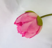 28 Inch Artificial Silk Lotus Bud Lily Stem 10 Pcs Bulk Pack