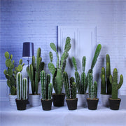 Artificial Cactus Plants 6 Pcs in Pot Bulk Wholesale Artificial Succulent Decor