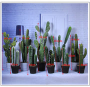 Artificial Cactus Plants 6 Pcs in Pot Bulk Wholesale Artificial Succulent Decor