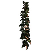 56 Inch Magnolia Leaf Garland 56 Pcs Real Touch Artificial Leaves Fall Mantle Decor