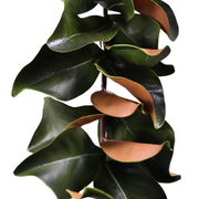 56 Inch Magnolia Leaf Garland 56 Pcs Real Touch Artificial Leaves Fall Mantle Decor