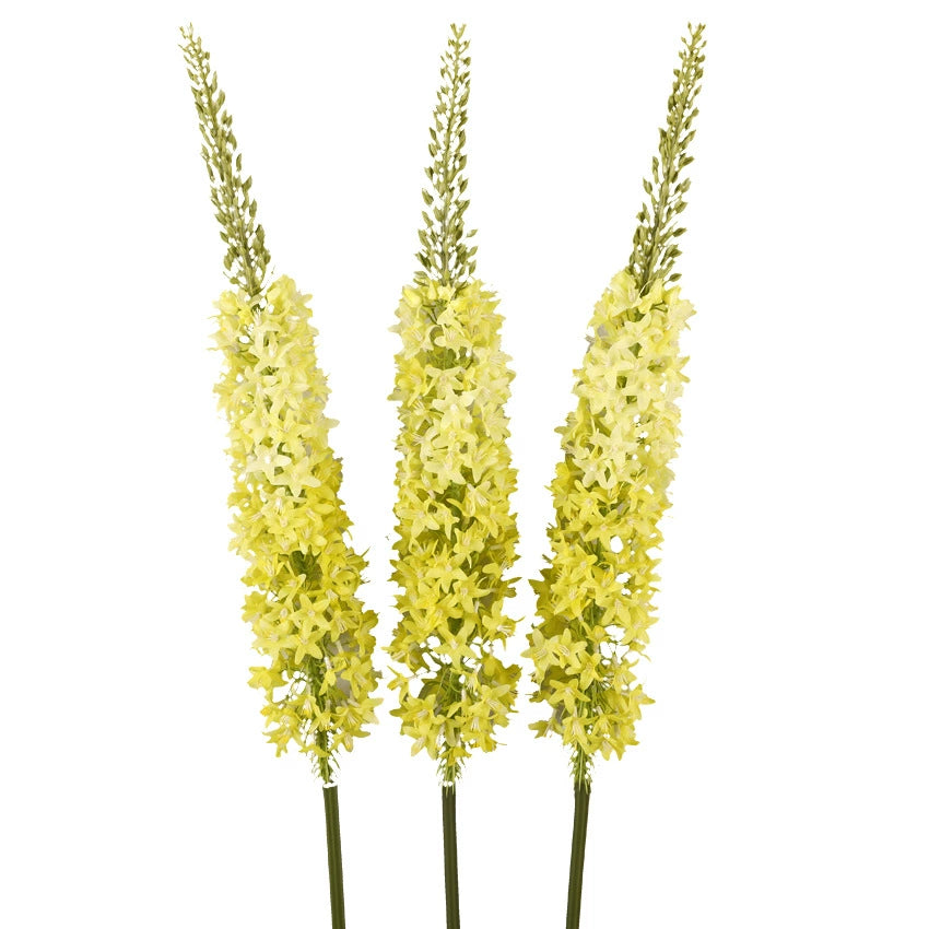 3-Pack 57.5-Inch Artificial Foxtail Lily Stems - Fake Flower Decor for Living Room Home Accents