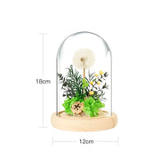 Dried Dandelion Flowers with Glass Cover and Wooden Base Night Light Ornament, Preserved Decorative Piece for Home, Holiday Gift