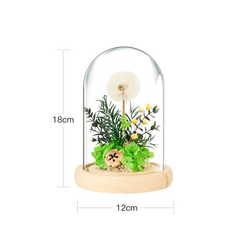 Dried Dandelion Flowers with Glass Cover and Wooden Base Night Light Ornament, Preserved Decorative Piece for Home, Holiday Gift