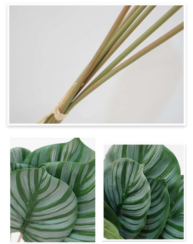Artificial Calathea Orbifolia Turtle Leaf 6 Stems 22 Inch Tropical Silk Plant