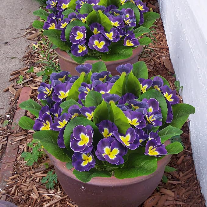 5 Pcs Artificial Pansy Flowers 9.8 Inch UV Resistant Outdoor Silk Plants