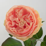 Bulk 18" Real Touch Artificial Rose Flowers Long Stem Silk Roses for DIY Wedding Bouquets Table Centerpieces and Home Decor Wholesale