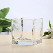 Clear Glass Cube Vases Bulk Set of 12, Square Glass Flower Containers for Artificial Flowers