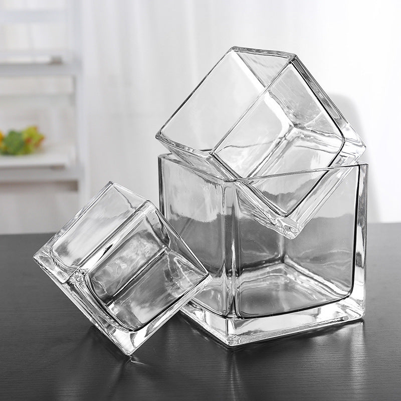 Clear Glass Cube Vases Bulk Set of 12, Square Glass Flower Containers for Artificial Flowers