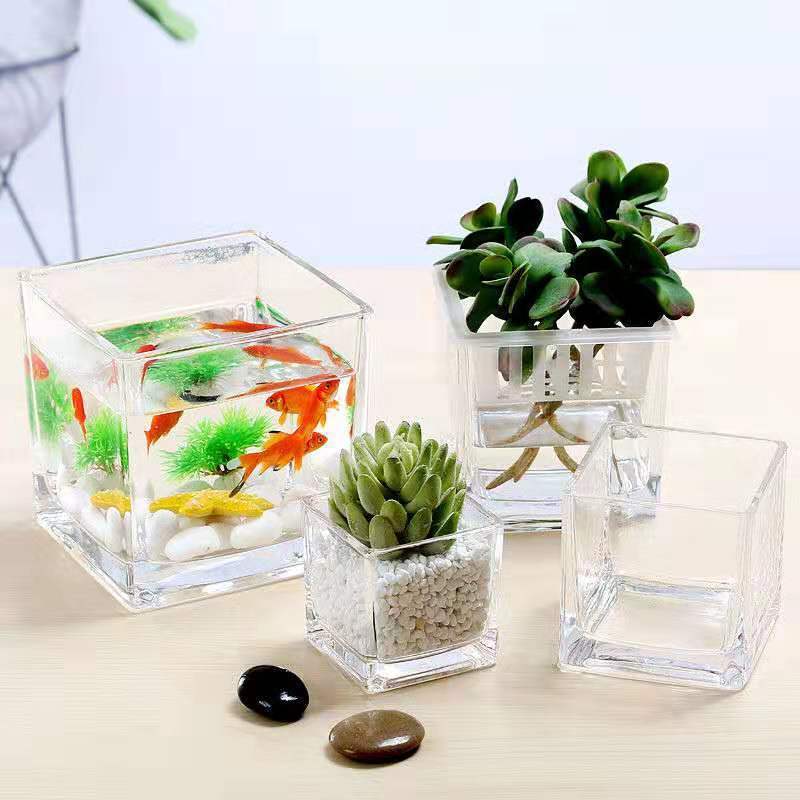 Clear Glass Cube Vases Bulk Set of 12, Square Glass Flower Containers for Artificial Flowers
