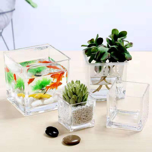 Clear Glass Cube Vases Bulk Set of 12, Square Glass Flower Containers for Artificial Flowers