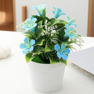 7.8-Inches Morning Glory Potted Plant for Home Decoration and adds Natural Beauty