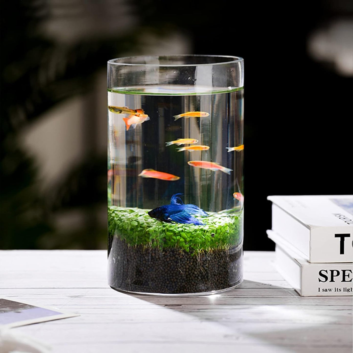 Commercial Venue Clear Glass Cylinder Vase for Floral & Aquatic Displays (3.4" D x 6" H) 12-Pack