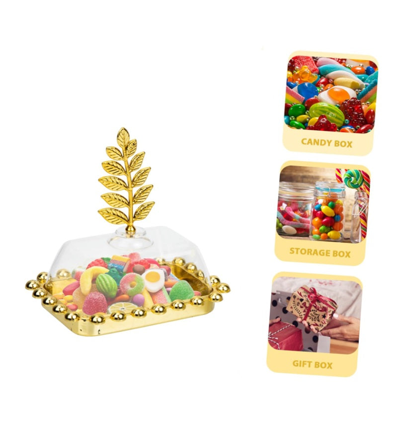 Bulk 12 Pack Dessert Box Candy Holders for Party Wedding Birthday Party Candy Case Wholesale