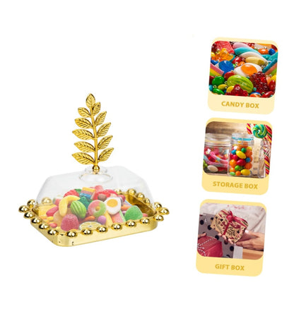 Bulk 12 Pack Dessert Box Candy Holders for Party Wedding Birthday Party Candy Case Wholesale