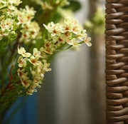 31 Inch Artificial Wax Flower Stems Chamelaucium Uncinatum Bulk Quantity