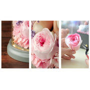 Christmas Princess Girl Preserved Roses Ornaments with Glass Cover Holiday Decoration Gift