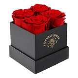 Bulk Preserved Rose in a Box Forever Roses Gift for Valentine's Day Birthday Mother's Day Anniversary Wholesale