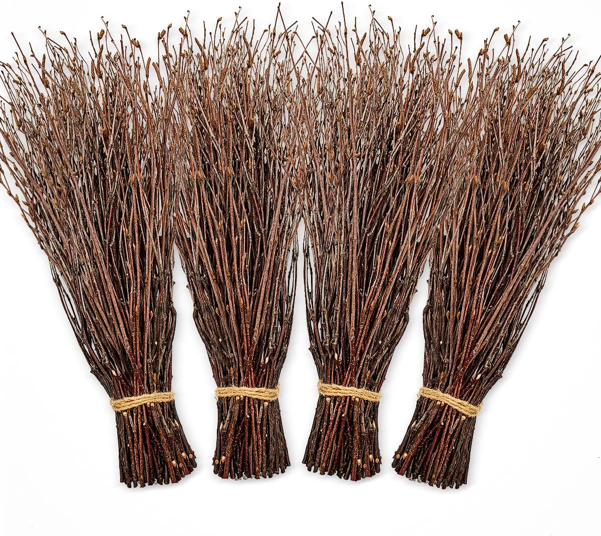 Bulk 200 Psc Natural Dried Birch Twig Sticks Ideal for DIY Crafts Flower Arrangements Vases Halloween Decorations and Home Floral Displays Wholesale