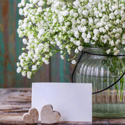 Artificial Baby's Breath Flowers Gypsophila - 50 Stems, White, 12 Inch Silk Floral for Wedding and Home Decor