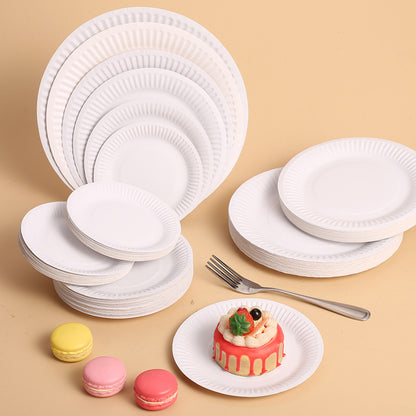 Bulk 20 Pcs Disposable Paper Plates Wholesale