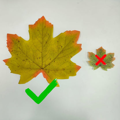 Bulk 50 Pcs Hawaiian Leaf Table Mats Perfect for Summer Parties Weddings and More Wholesale