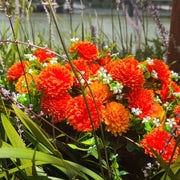 8 Bundles Artificial Chrysanthemum Flower Bushes for Outdoors, UV Resistant Fall Mum Plants