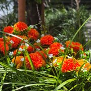 8 Bundles Artificial Chrysanthemum Flower Bushes for Outdoors, UV Resistant Fall Mum Plants