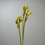 Bulk Real Touch Calla Lilies Long Stem Artificial Florals 25.5" Wholesale