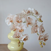 9 Heads Artificial Orchid Flowers Bulk Pack, Real Touch, Exclusive Color, Silk Material