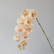 9 Heads Artificial Orchid Flowers Bulk Pack, Real Touch, Exclusive Color, Silk Material