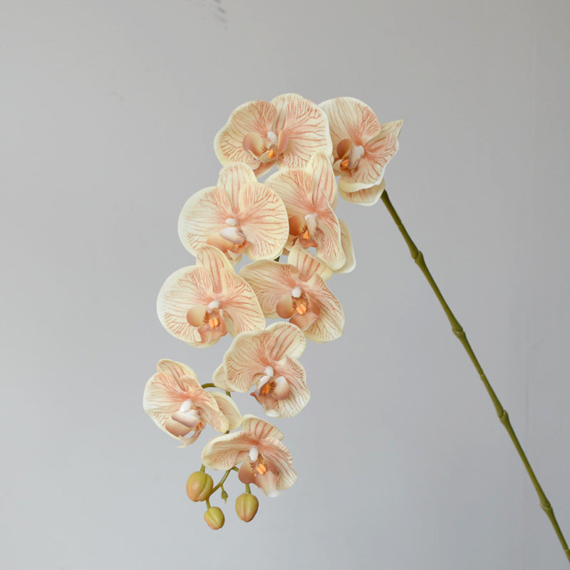 9 Heads Artificial Orchid Flowers Bulk Pack, Real Touch, Exclusive Color, Silk Material