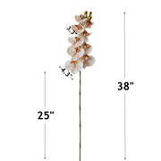 9 Heads Artificial Orchid Flowers Bulk Pack, Real Touch, Exclusive Color, Silk Material