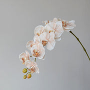 9 Heads Artificial Orchid Flowers Bulk Pack, Real Touch, Exclusive Color, Silk Material