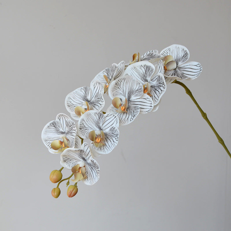 9 Heads Artificial Orchid Flowers Bulk Pack, Real Touch, Exclusive Color, Silk Material