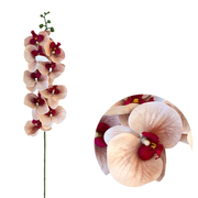 50 Pcs Phalaenopsis Orchid Artificial Flowers Stems, 9 Heads, 48 Colors, Real Touch