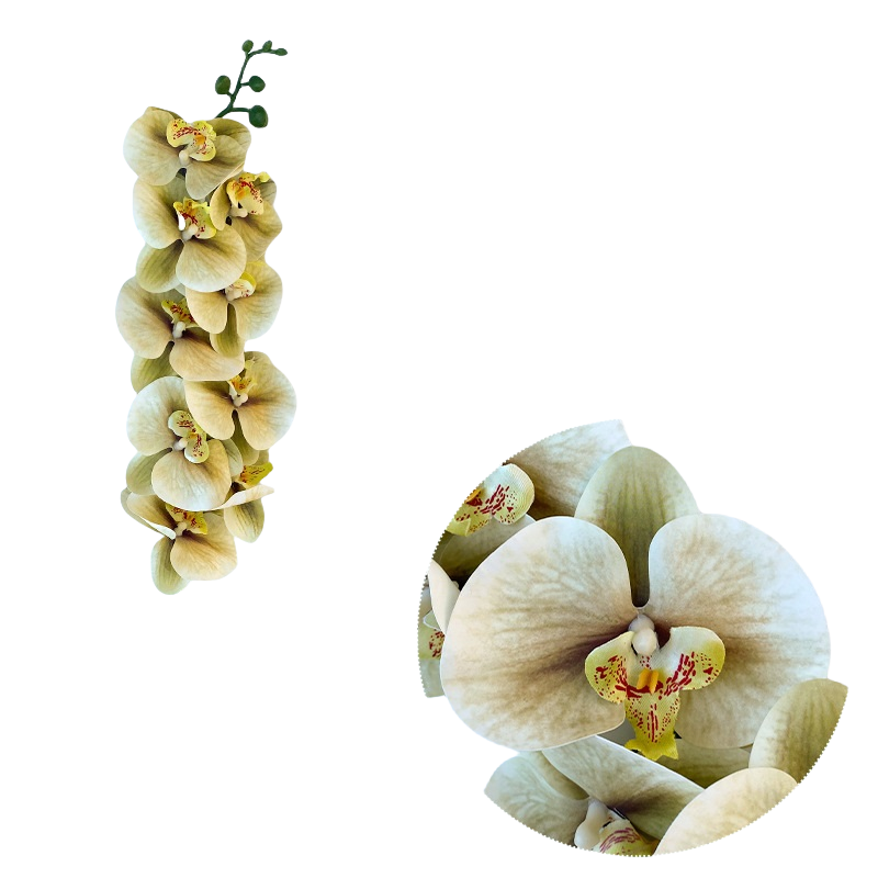50 Pcs Phalaenopsis Orchid Artificial Flowers Stems, 9 Heads, 48 Colors, Real Touch