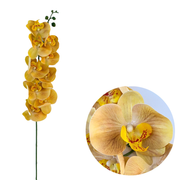 50 Pcs Phalaenopsis Orchid Artificial Flowers Stems, 9 Heads, 48 Colors, Real Touch