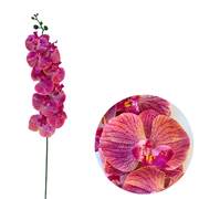 50 Pcs Phalaenopsis Orchid Artificial Flowers Stems, 9 Heads, 48 Colors, Real Touch