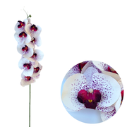 50 Pcs Phalaenopsis Orchid Artificial Flowers Stems, 9 Heads, 48 Colors, Real Touch