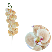 50 Pcs Phalaenopsis Orchid Artificial Flowers Stems, 9 Heads, 48 Colors, Real Touch
