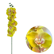 50 Pcs Phalaenopsis Orchid Artificial Flowers Stems, 9 Heads, 48 Colors, Real Touch