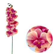 50 Pcs Phalaenopsis Orchid Artificial Flowers Stems, 9 Heads, 48 Colors, Real Touch