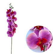 50 Pcs Phalaenopsis Orchid Artificial Flowers Stems, 9 Heads, 48 Colors, Real Touch