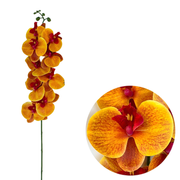 50 Pcs Phalaenopsis Orchid Artificial Flowers Stems, 9 Heads, 48 Colors, Real Touch