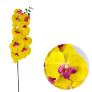 50 Pcs Phalaenopsis Orchid Artificial Flowers Stems, 9 Heads, 48 Colors, Real Touch