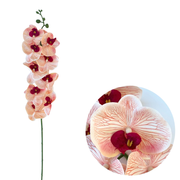 50 Pcs Phalaenopsis Orchid Artificial Flowers Stems, 9 Heads, 48 Colors, Real Touch