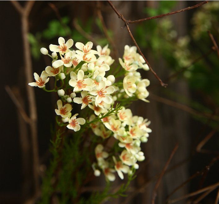 31 Inch Artificial Wax Flower Stems Chamelaucium Uncinatum Bulk Quantity