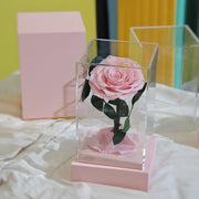 10 Pcs Acrylic Preserved Rose Box Set – Classic Single Stem Gift, Long-Lasting Artificial Flower