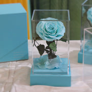 10 Pcs Acrylic Preserved Rose Box Set – Classic Single Stem Gift, Long-Lasting Artificial Flower